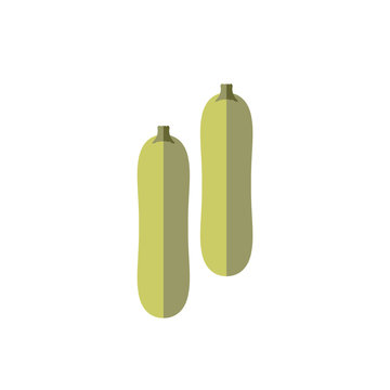 zucchini color vector flat icon vegetable