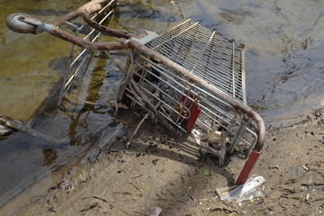 Trash in the water