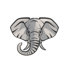 Vector Elephant portrait. 