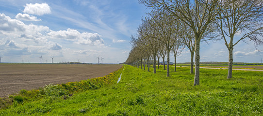 Fototapeta premium Furrows in a sunny plowed field in spring