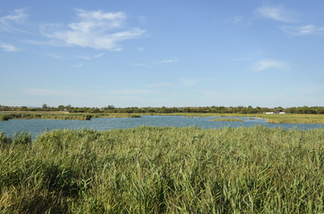 La Grande Maire, Lagune, Site naturel protégé, site Natura 2000, Portiragnes, 34, Hérault, France