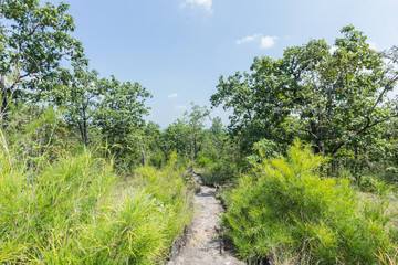 Way up the mountain sunshine time