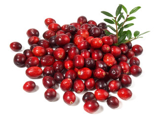 Cranberries