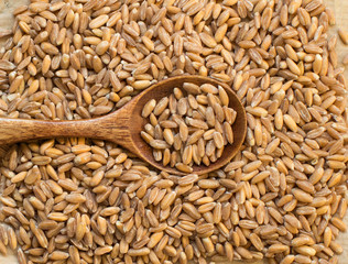 Whole unpolished spelt  with a spoon