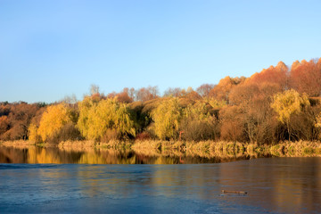 The first ice on a autumn pond
