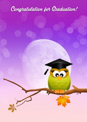 congratulation for graduation