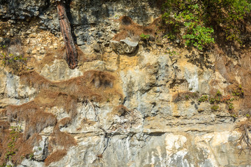 The texture of the rocky cliffs.
