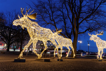 Christmas moose floc made of led light
