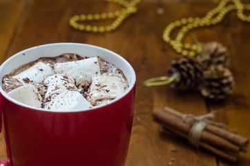 cup of hot chocolate with cinnamon and marshmallows