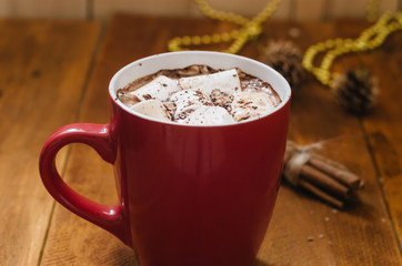 cup of hot chocolate with cinnamon and marshmallows