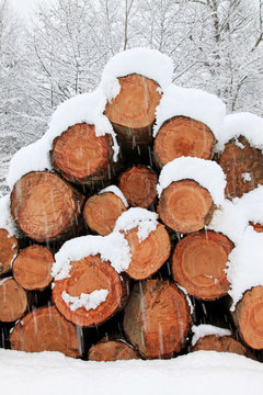 madera cortada invierno troncos en la nieve 9295-f15