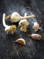 Fresh organic garlic on wood
