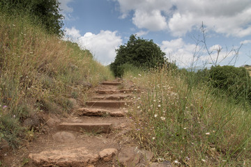 Golan Heights. Banias Nature Reserve