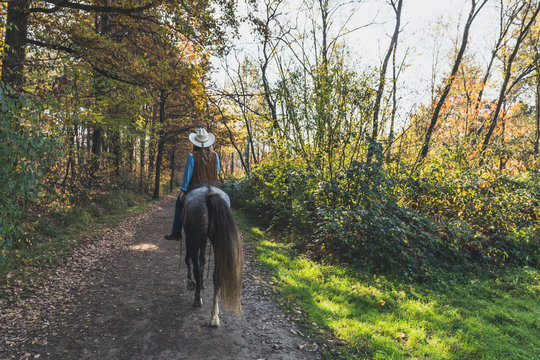 Pretty girl riding her grey horse