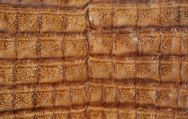Leather background