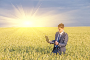Businessman on a wheat field 