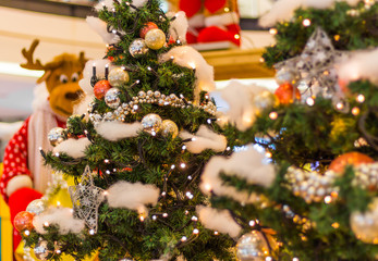 Christmas Tree, Christmas concept.