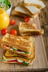 Delicious Italian sandwich