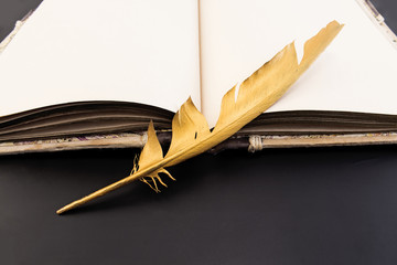 Gold feather and book on a black background