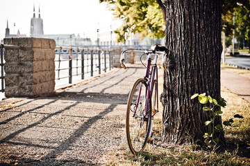 Fototapeta premium Road fixed bicycle on city street under tree