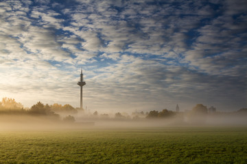 Fototapeta na wymiar Frühnebel auf einer Wiese mit Frankfurter Skyline