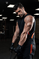 Obraz na płótnie Canvas Triceps Pull down Workout