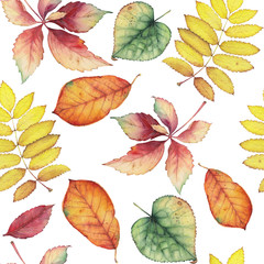 Seamless pattern with autumn leaves. Original hand drawn bright colors watercolor background