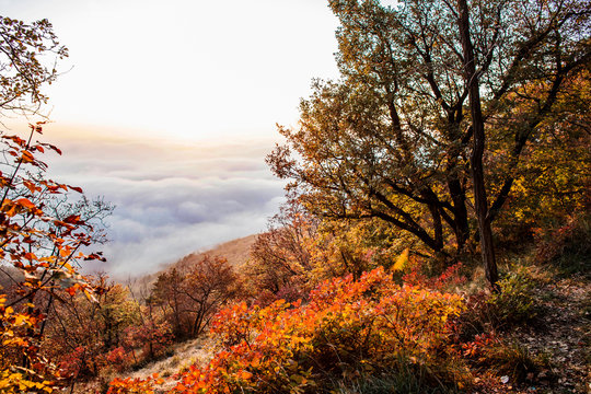 carso triestino in autunno al tramonto