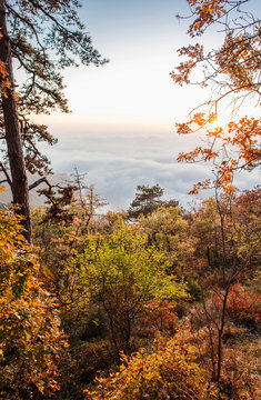 carso triestino in autunno al tramonto