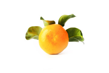 tangerine with leaves isolated on a white background
