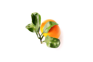 tangerine with leaves isolated on a white background