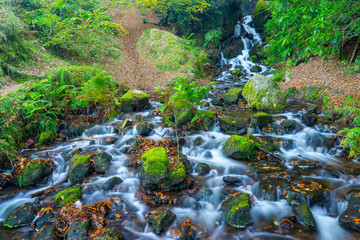 Fototapeta premium Waterfall Dartmoor National Park England