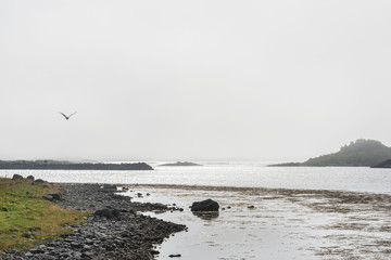 Norway fjord in a cloudy, foggy day
