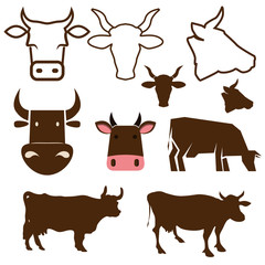 cow labels