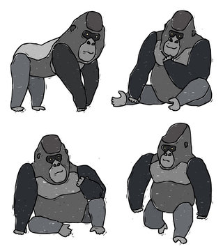4 Best オオショウジョウ Images Stock Photos Vectors Adobe Stock