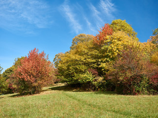 Herbst