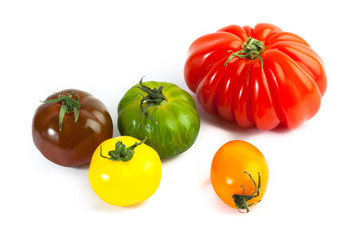 Different colors tomatos, Solanum lycopersicum, on white backgroung