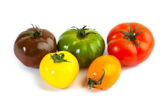 Different colors tomatos, Solanum lycopersicum, on white backgroung