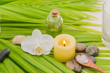 Obraz na płótnie Canvas Green palm leaf background- spa setting