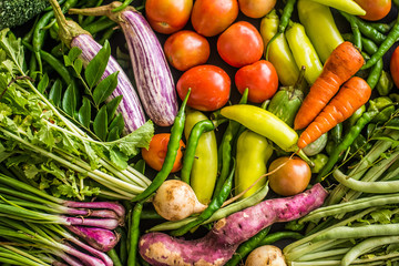 Colorful fresh raw vegetables