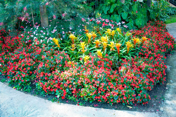 Flower garden background