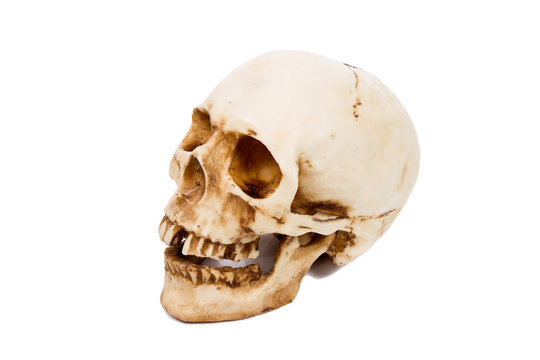 Old human skull  isolated on white background.