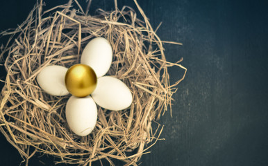 Golden egg in the nest concept background