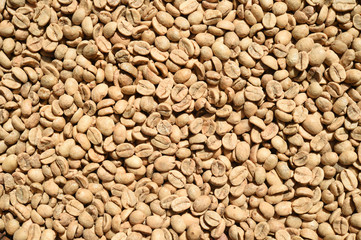 Coffee beans for backgrounds or textures