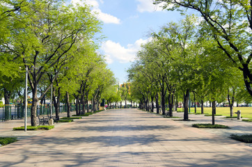BANGKOK - JULY 3 : walk street around Sanam Luang 