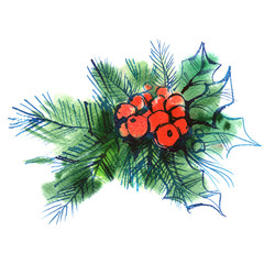 Christmas tree, ilex, green sprig of holly with red berries on a white background, spruce, watercolor sketch