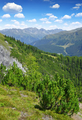 Fototapeta na wymiar Beautiful alpine landscape. Canton Graubunden, Switzerland