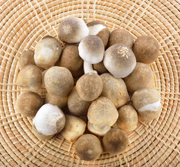 Straw mushrooms