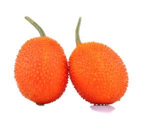 Gac  on white background