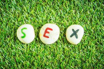 Naklejka premium SEX paint on stone , on the grass